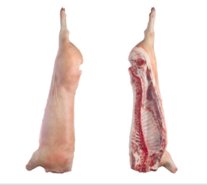 Frozen Pork Carcass