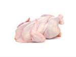 Frozen Whole Turkey