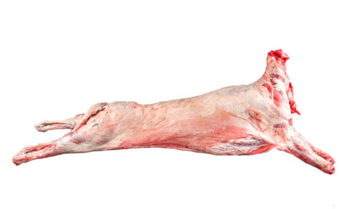 Lamb or sheep carcass, Freshly Frozen to Preserve Nutrients 1 Lamb or sheep carcass, Freshly Frozen to Preserve Nutrients