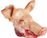 Frozen Pork Head, Whole or Half, Grade A