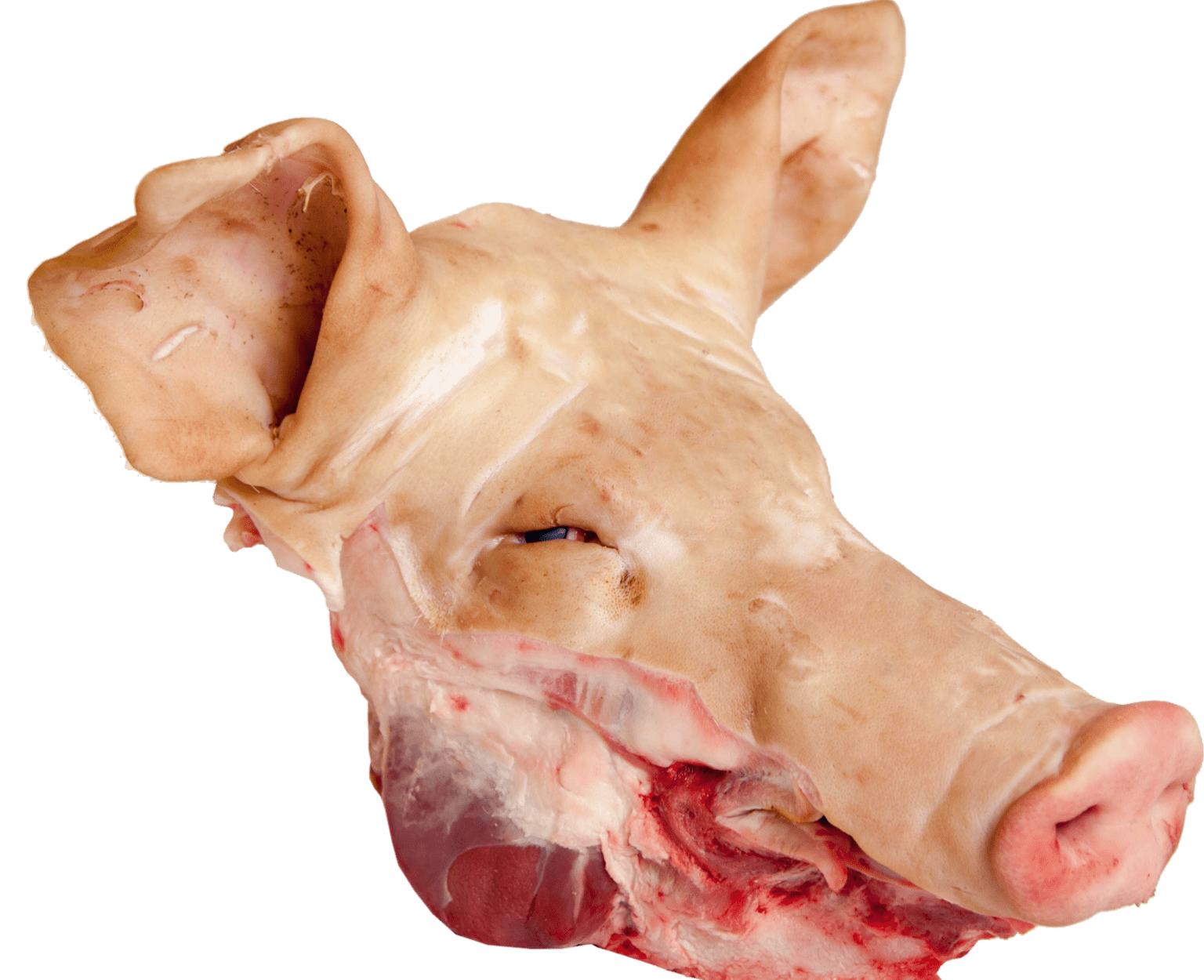 Frozen Pork Head, Whole or Half, Grade A 1 Frozen Pork Head, Whole or Half, Grade A