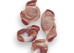 Frozen Chicken Gizzards