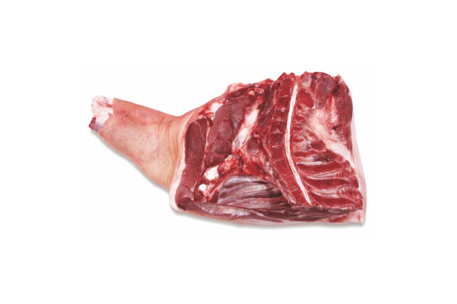 Frozen Pork Fore End Shoulder 1 Frozen Pork Fore End Shoulder