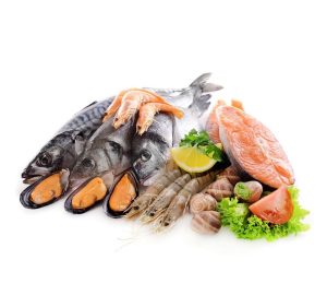Wholesale Frozen Fish & Seafood Products, Freshly Frozen to Preserve Nutrients