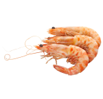 Shrimp, Freshly Frozen to Preserve Nutrients