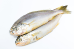 Frozen Large Yellow Croaker